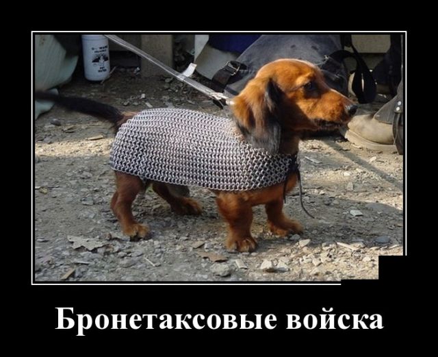 Демотиваторы