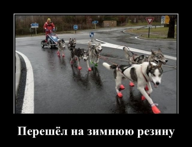 Демотиваторы