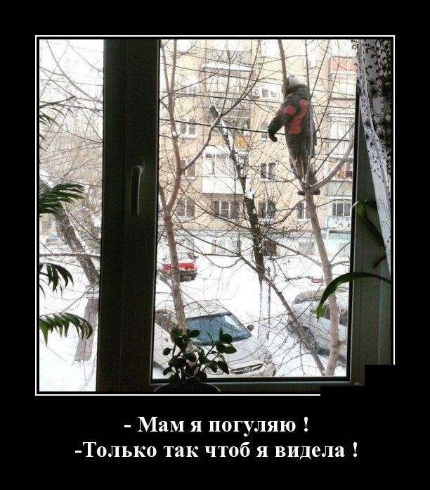 Демотиваторы