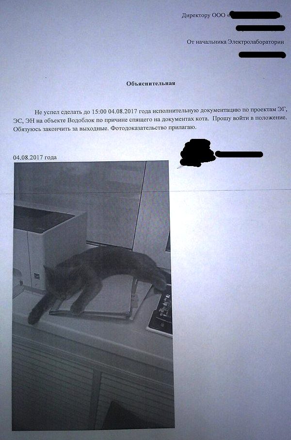 Объясните объяснительную