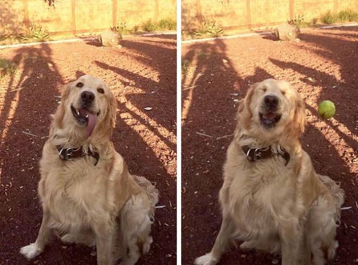 Для идеальной фотографии нужен идеальный момент