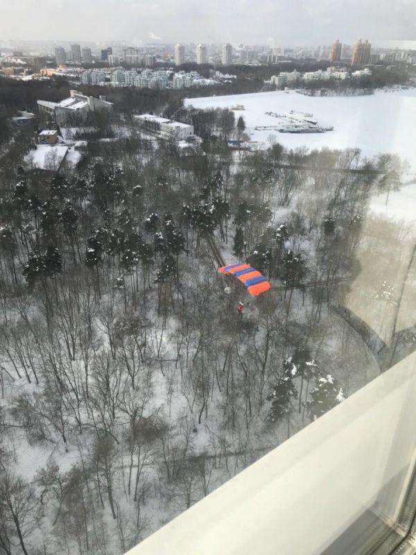 Московский бейсджампер застрял на дереве