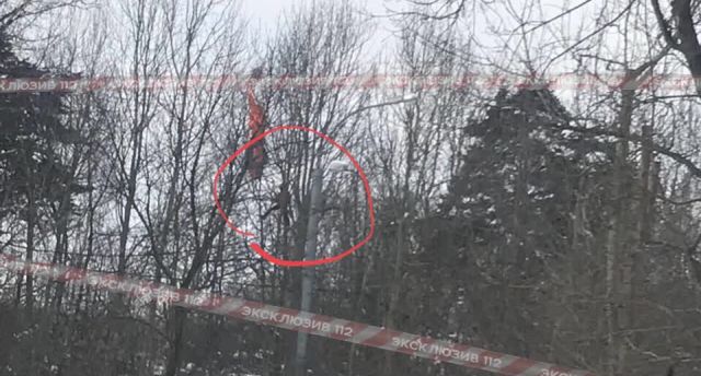 Московский бейсджампер застрял на дереве