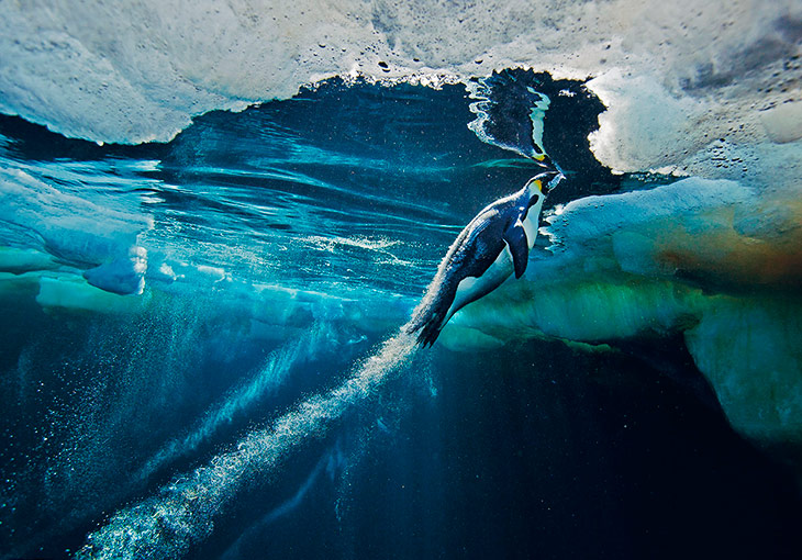 National Geographic: лучшие фотографии марта National Geographic: лучшие фотографии марта