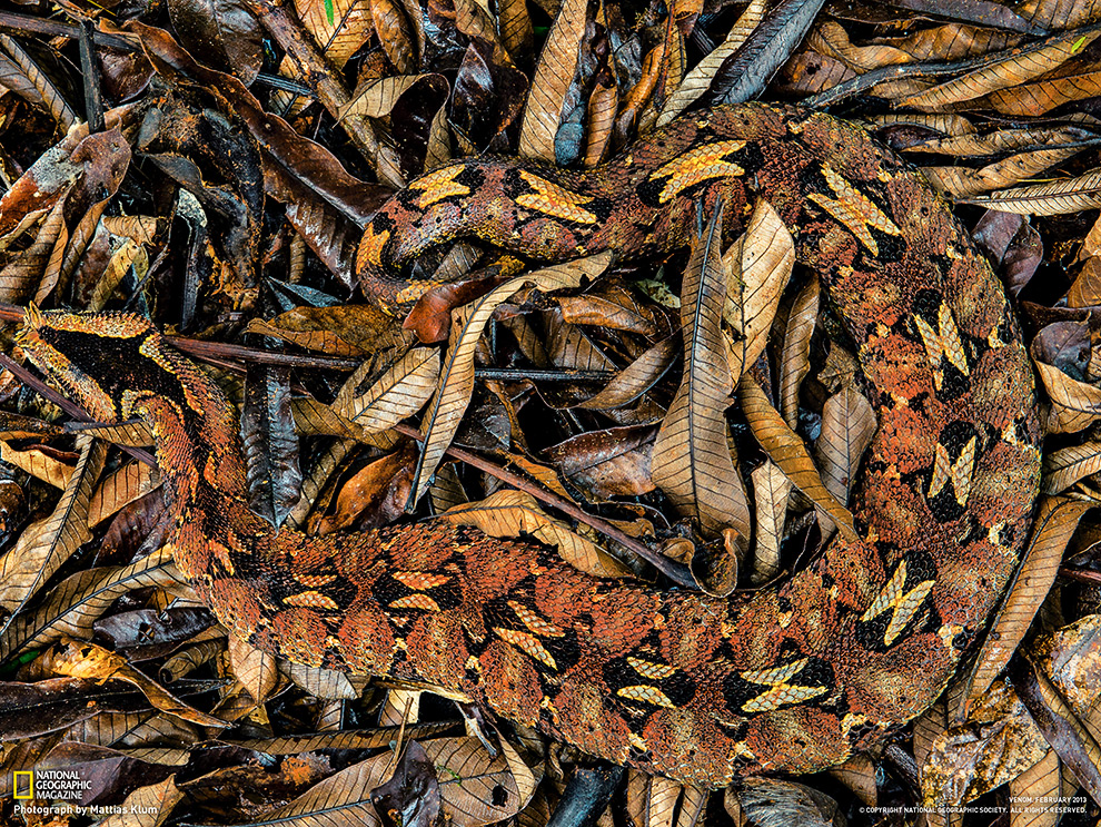 National Geographic: лучшие фотографии марта National Geographic: лучшие фотографии марта