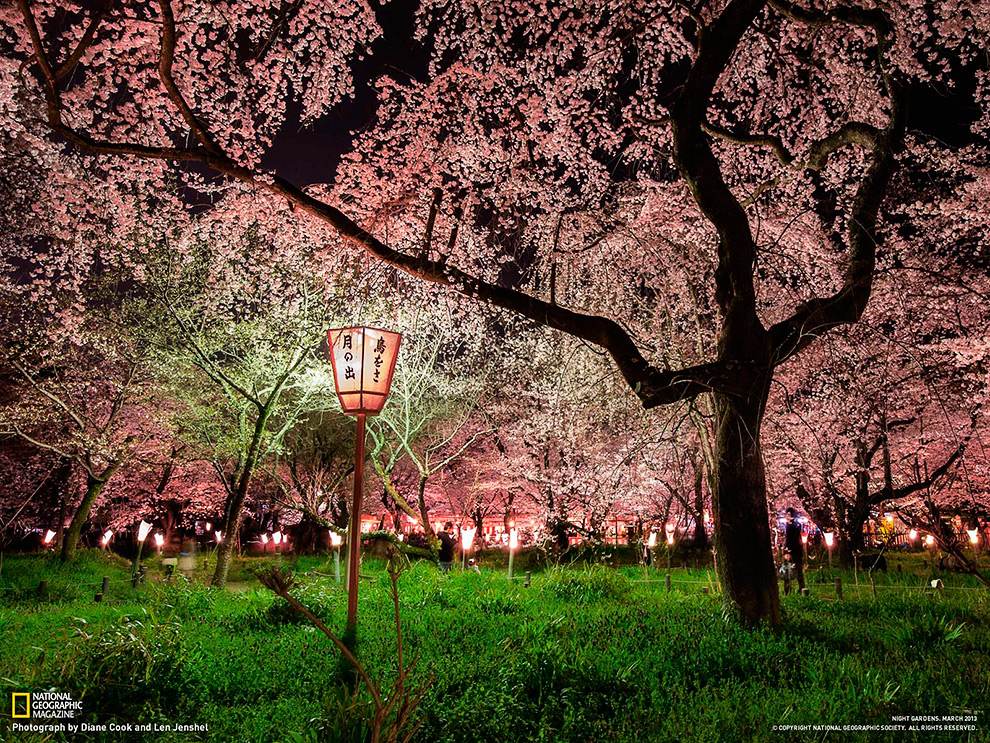 National Geographic: лучшие фотографии марта National Geographic: лучшие фотографии марта