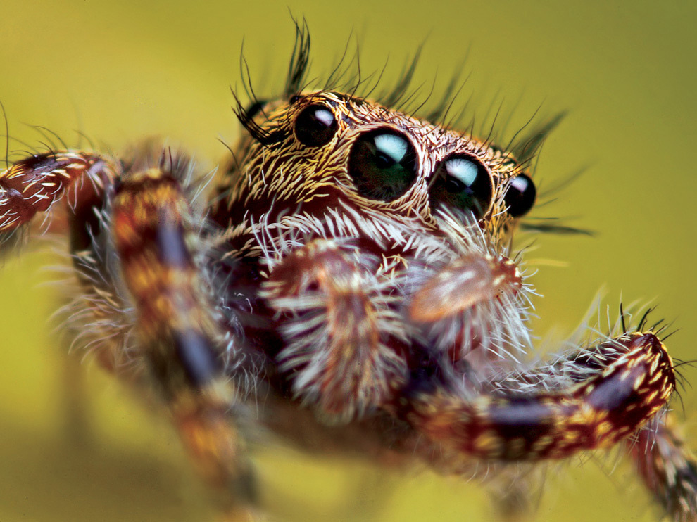 National Geographic: лучшие фотографии марта National Geographic: лучшие фотографии марта