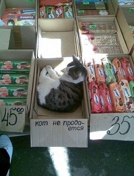 Народные маразмы