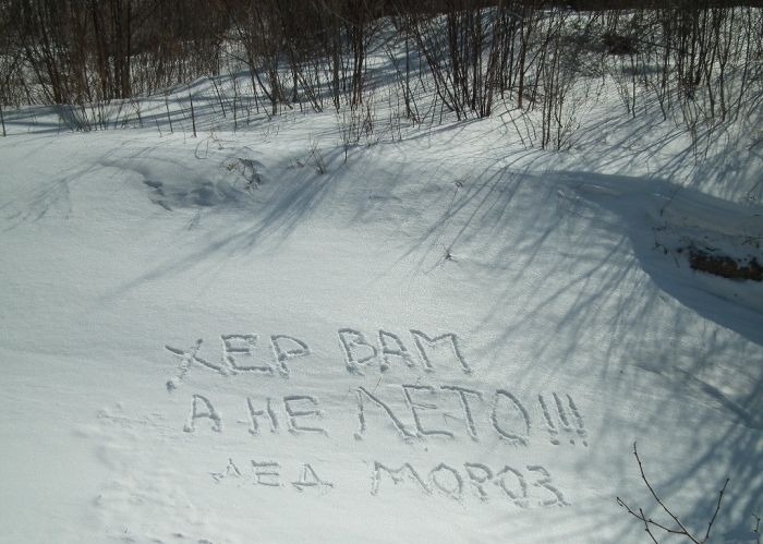 Народные маразмы