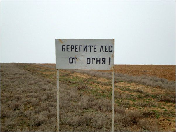 Народные маразмы