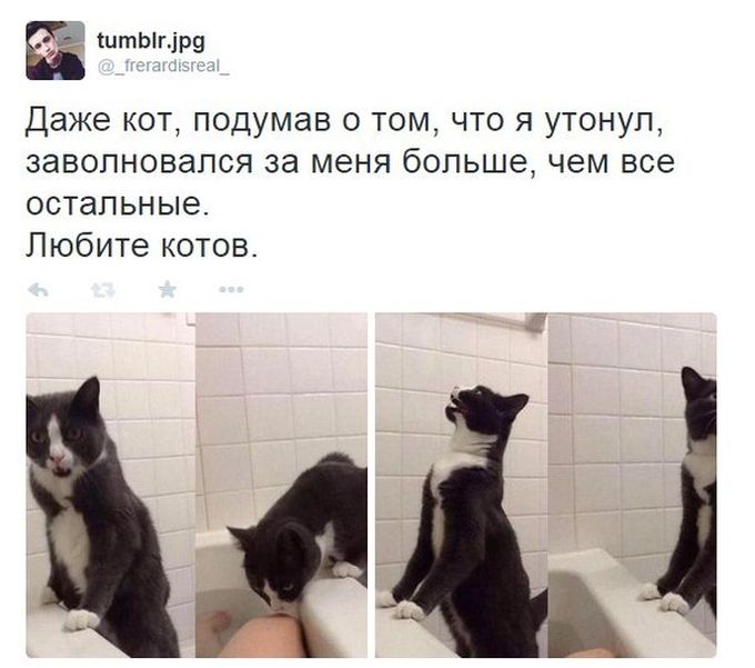 Порция картинок