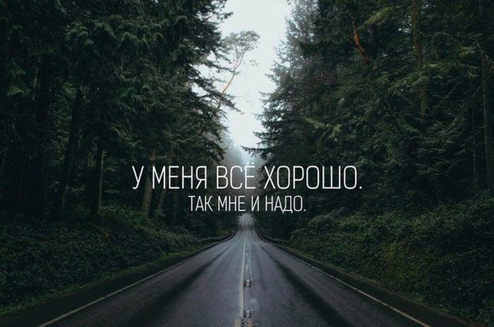 Порция картинок