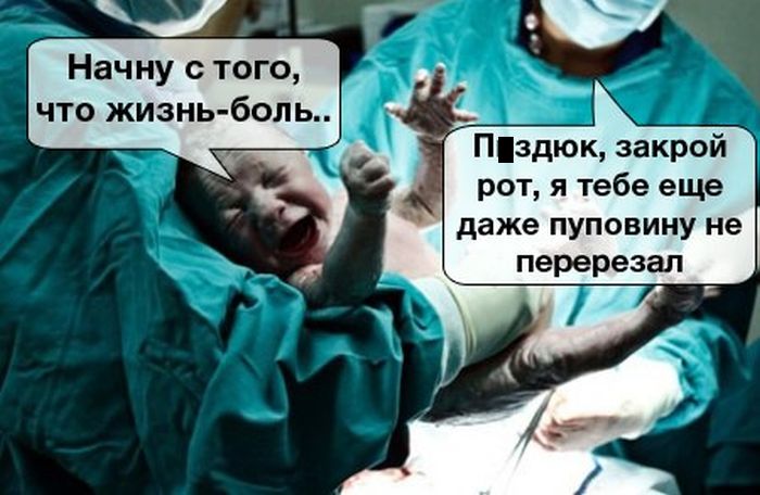 Порция картинок