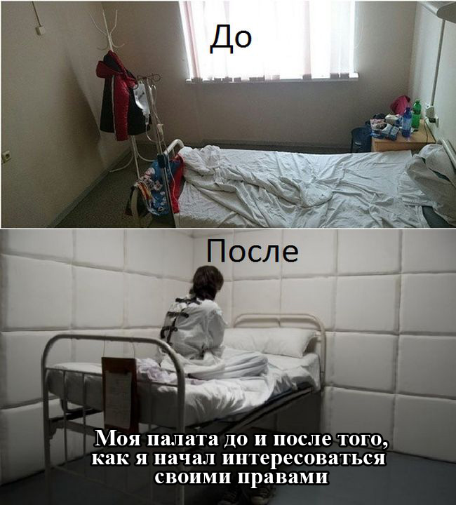 Порция картинок
