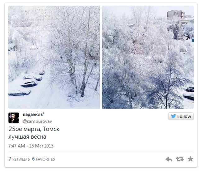 Порция картинок