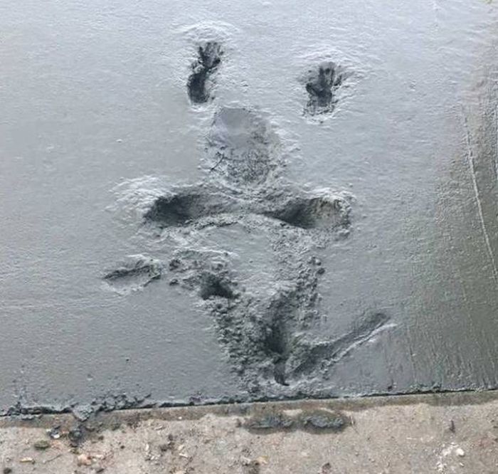 Неприятности случаются