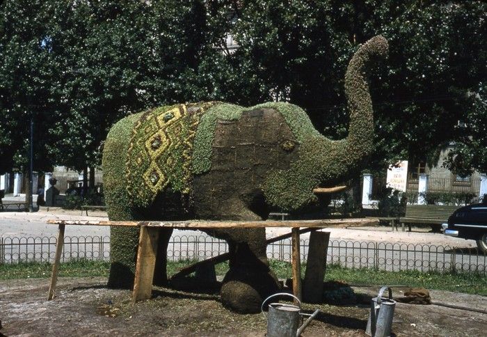 Неизвестные ранее цветные фото СССР
