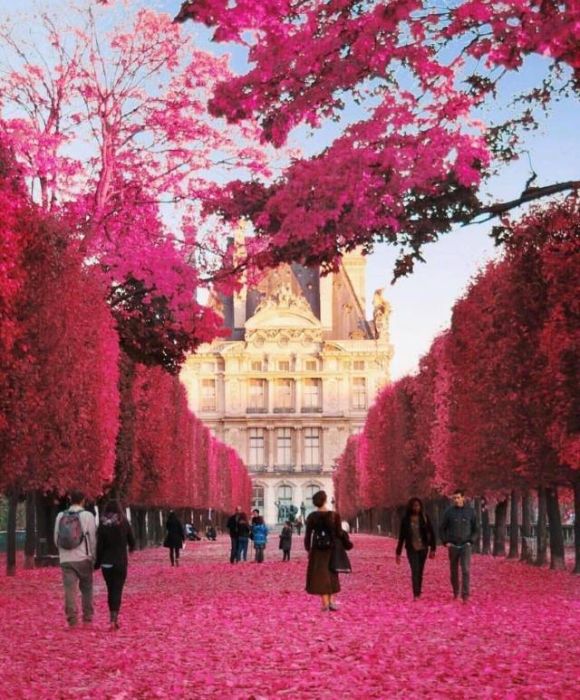 Фото, которые не нуждаются в комментариях