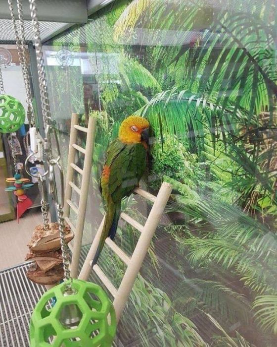 Фото, которые не нуждаются в комментариях