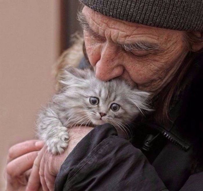 Фото, которые не нуждаются в комментариях