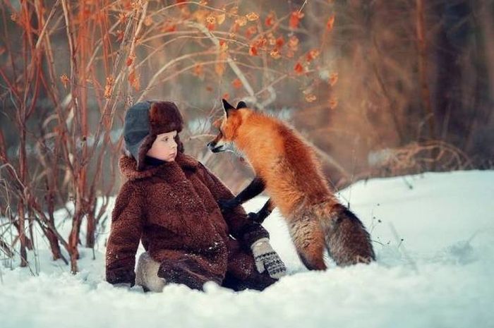 Фото, которые не нуждаются в комментариях