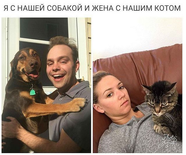 Прикольные картинки