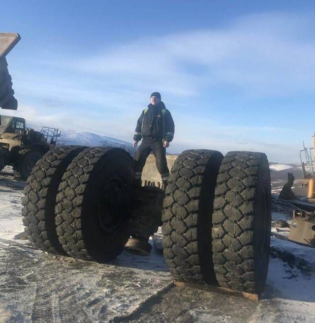 Прикольные картинки