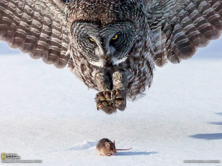 National Geographic: лучшие фотографии апреля