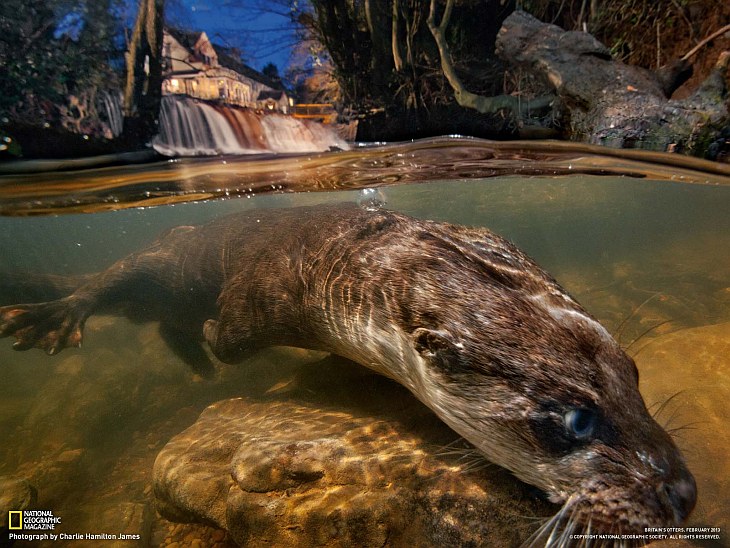 National Geographic: лучшие фотографии апреля