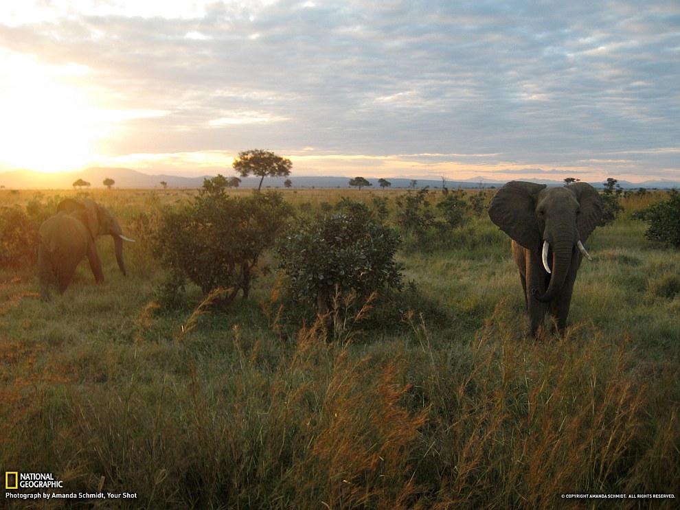 National Geographic: лучшие фотографии апреля