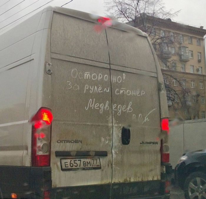 Прикольные картинки