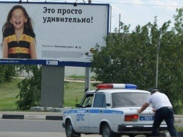 Прикольные картинки