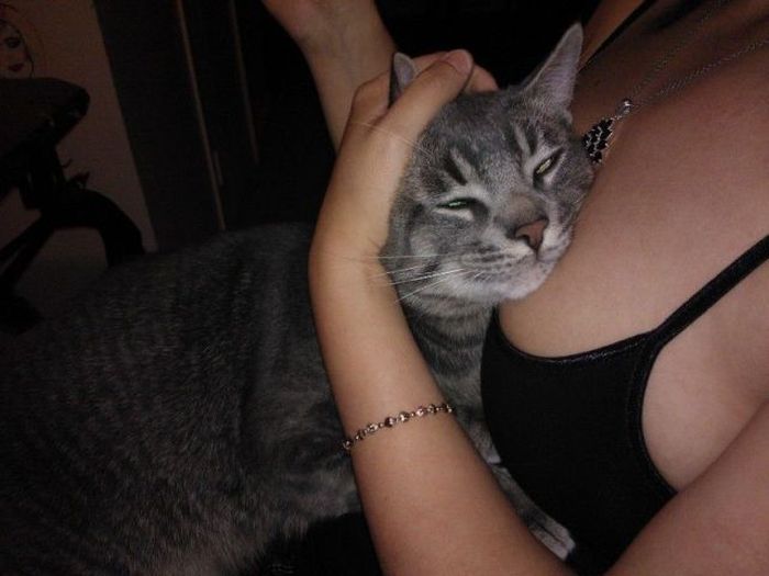 Прикольные картинки