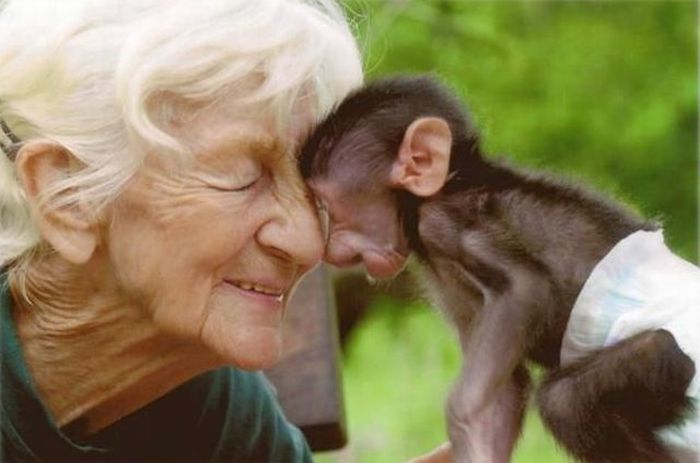 Прикольные картинки