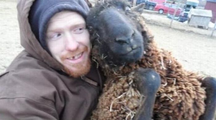 Прикольные картинки