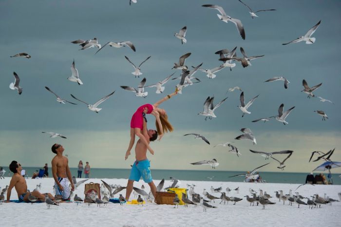 Прикольные картинки