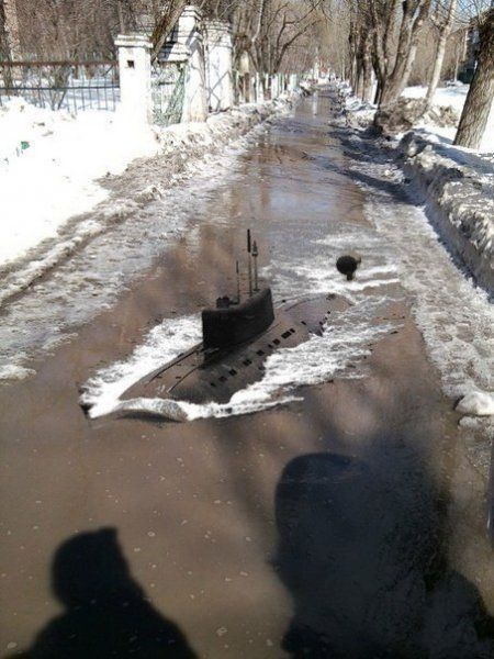 Прикольные картинки