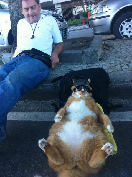 Прикольные картинки