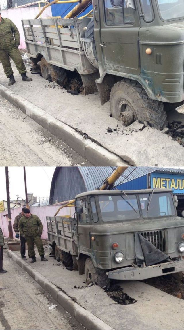 Прикольные картинки