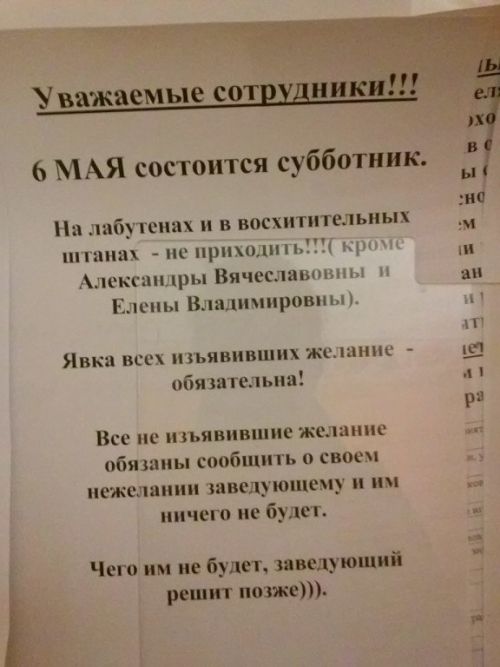 Прикольные картинки