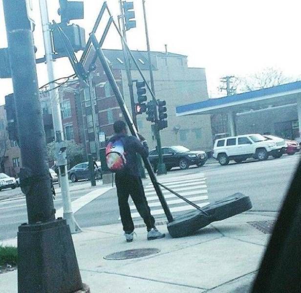 Прикольные картинки