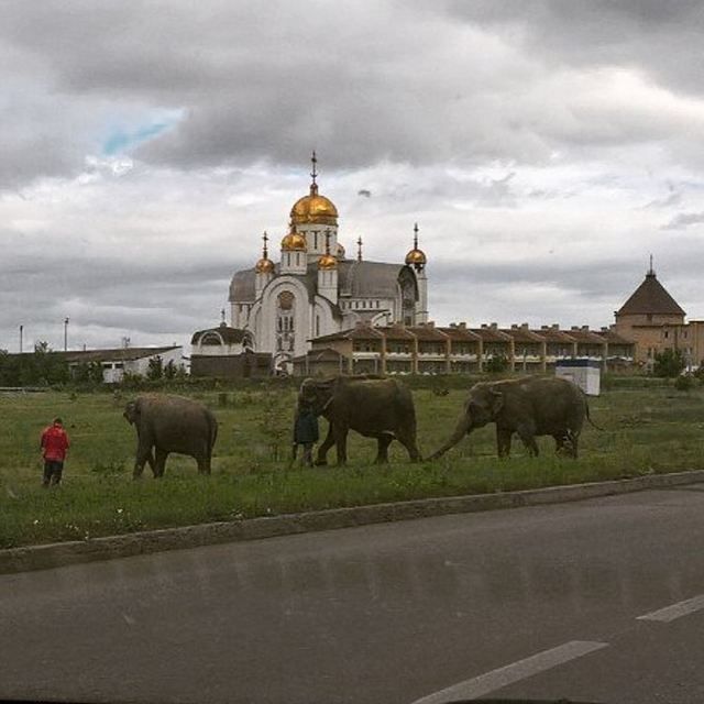 Странные и забавные фото c наших просторов