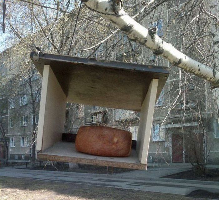 Странные и забавные фото c наших просторов