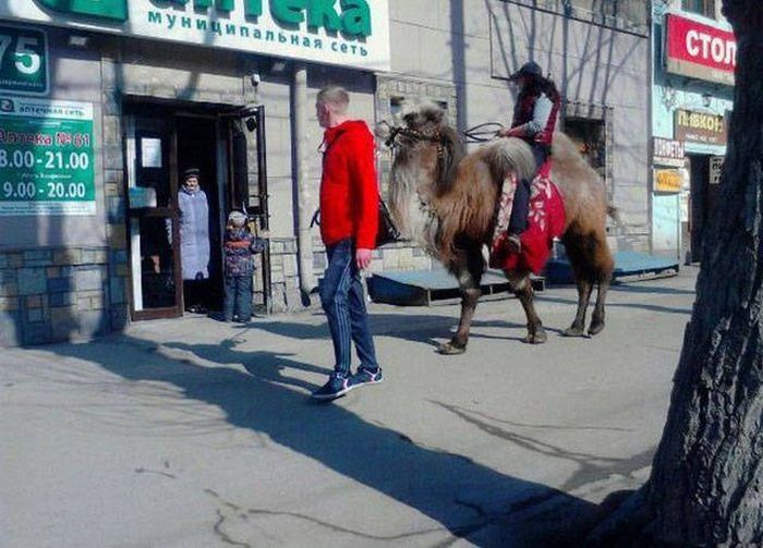 Странные и забавные фото c наших просторов
