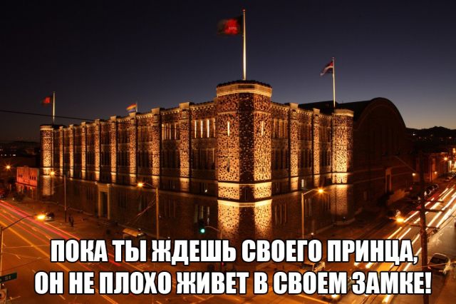Прикольные картинки