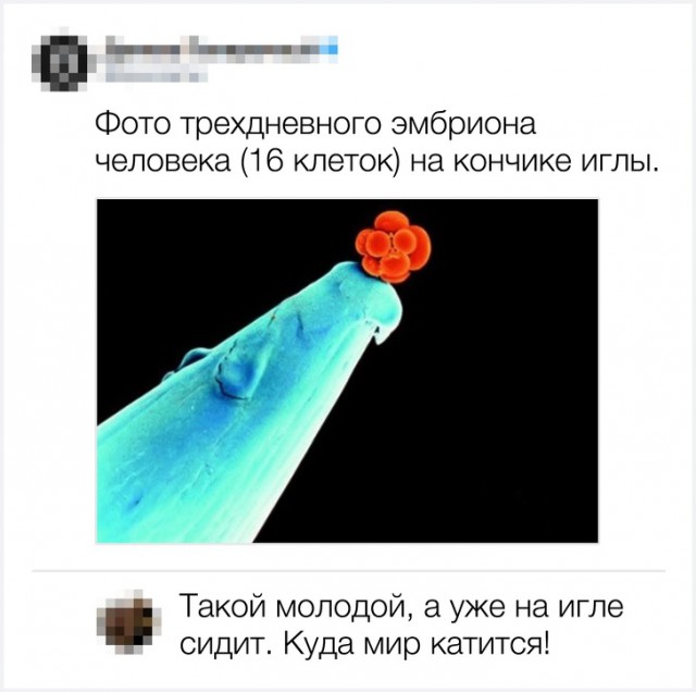 Смешные комментарии из соцсетей