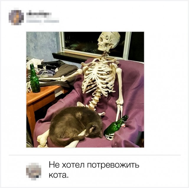 Смешные комментарии из соцсетей