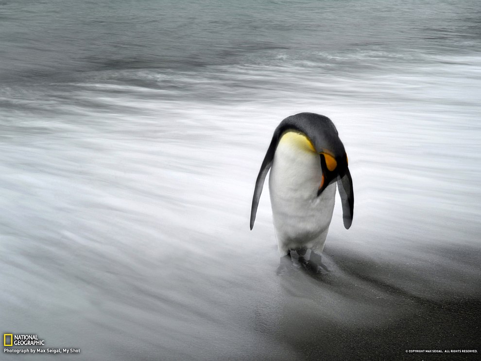 National Geographic: лучшие фотографии мая National Geographic: лучшие фотографии мая