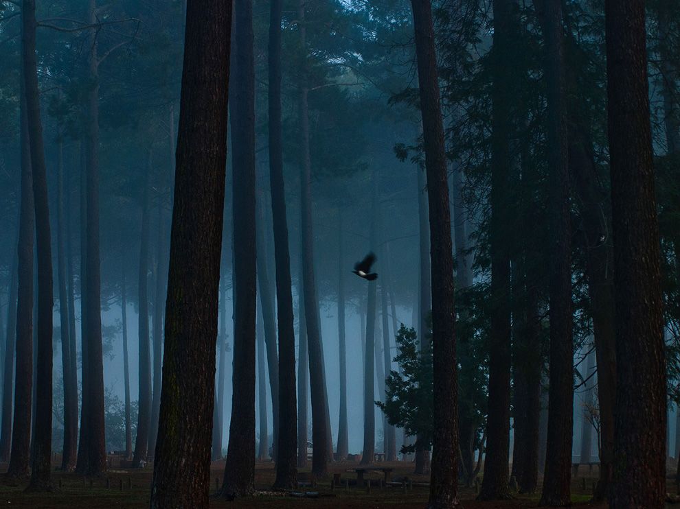 National Geographic: лучшие фотографии мая National Geographic: лучшие фотографии мая
