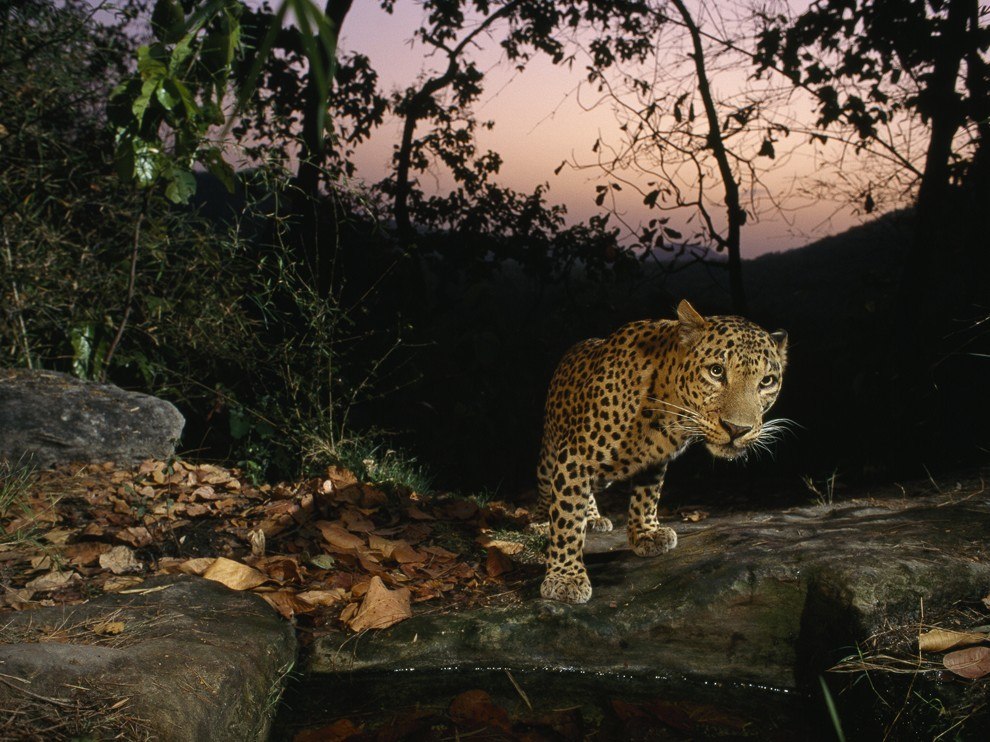 National Geographic: лучшие фотографии мая National Geographic: лучшие фотографии мая